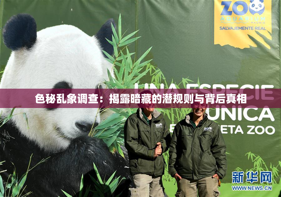 色秘乱象调查：揭露暗藏的潜规则与背后真相