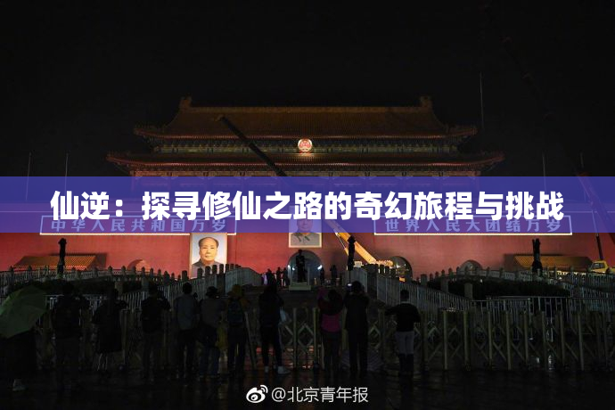 仙逆：探寻修仙之路的奇幻旅程与挑战