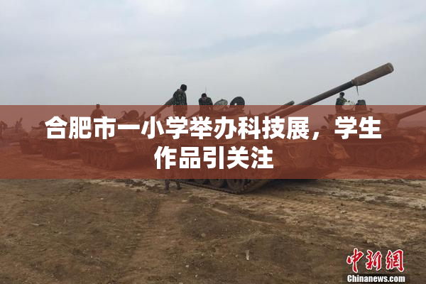 合肥市一小学举办科技展，学生作品引关注