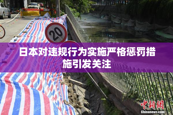 日本对违规行为实施严格惩罚措施引发关注