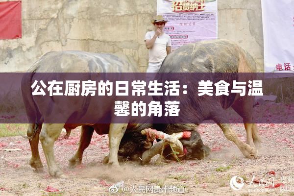 公在厨房的日常生活：美食与温馨的角落