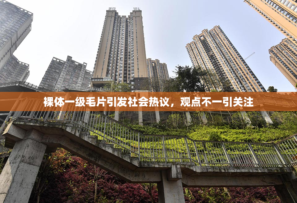 裸体一级毛片引发社会热议，观点不一引关注