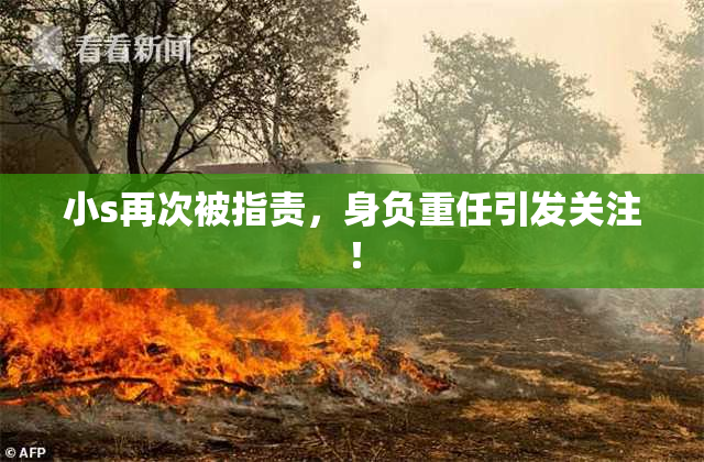 小s再次被指责，身负重任引发关注！