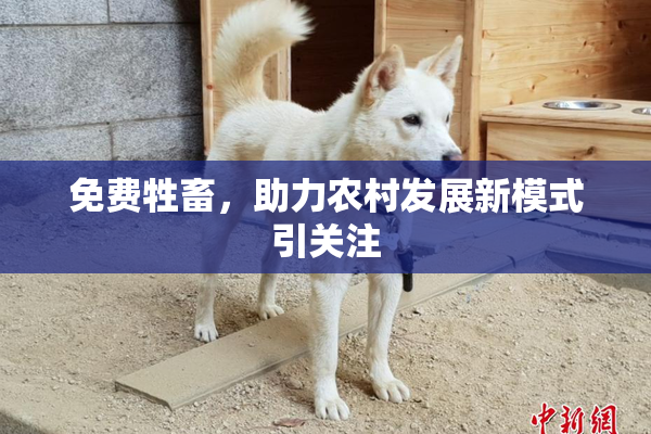 免费牲畜，助力农村发展新模式引关注