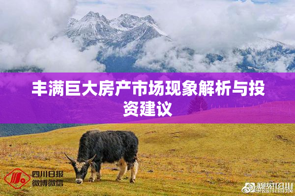 丰满巨大房产市场现象解析与投资建议