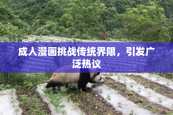 成人漫画挑战传统界限，引发广泛热议