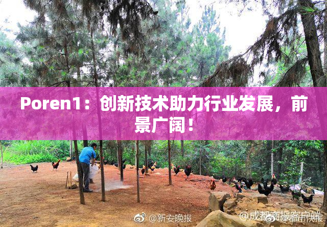 Poren1：创新技术助力行业发展，前景广阔！
