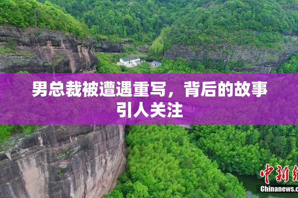 男总裁被遭遇重写，背后的故事引人关注