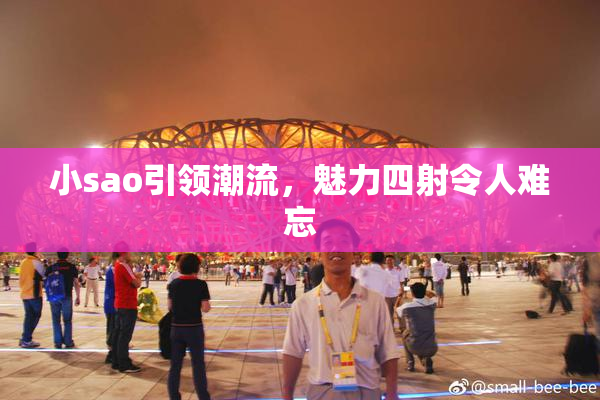 小sao引领潮流，魅力四射令人难忘