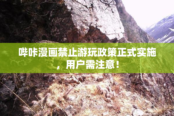 哔咔漫画禁止游玩政策正式实施，用户需注意！