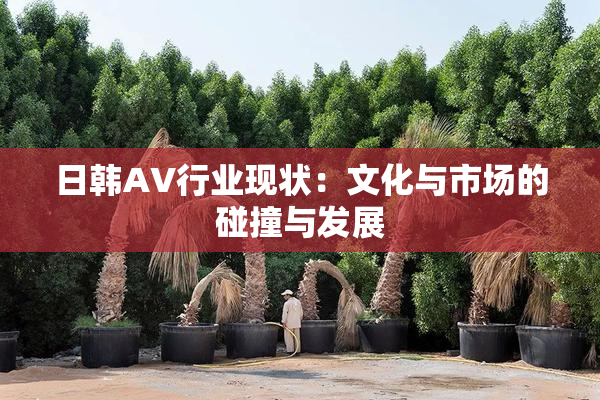 日韩AV行业现状：文化与市场的碰撞与发展
