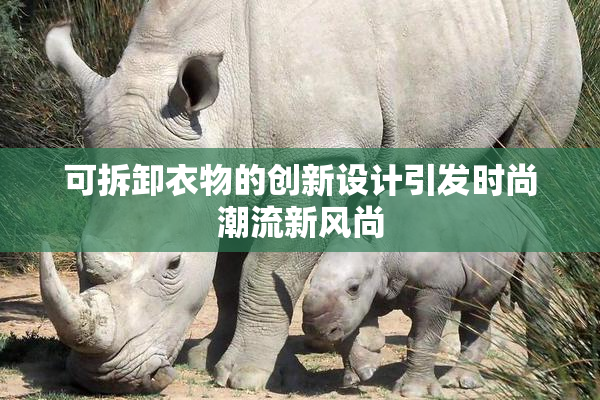 可拆卸衣物的创新设计引发时尚潮流新风尚