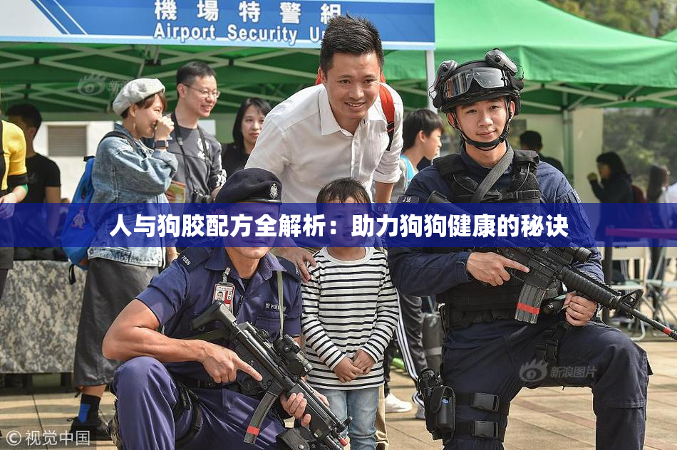 人与狗胶配方全解析：助力狗狗健康的秘诀