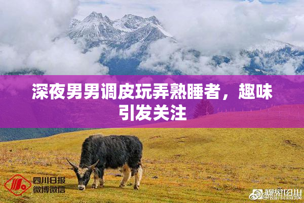 深夜男男调皮玩弄熟睡者，趣味引发关注