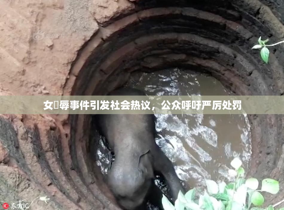 女婬辱事件引发社会热议，公众呼吁严厉处罚