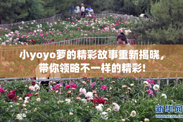 小yoyo萝的精彩故事重新揭晓，带你领略不一样的精彩!