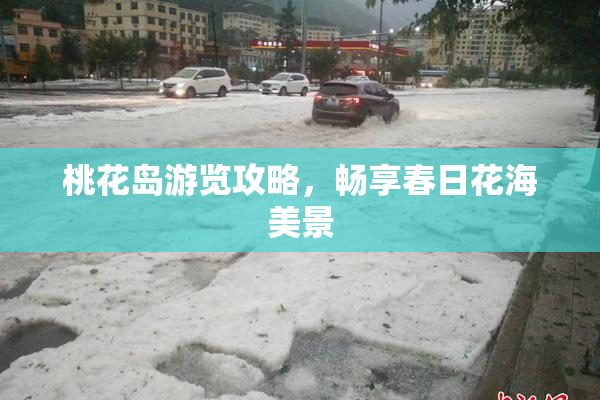 桃花岛游览攻略，畅享春日花海美景