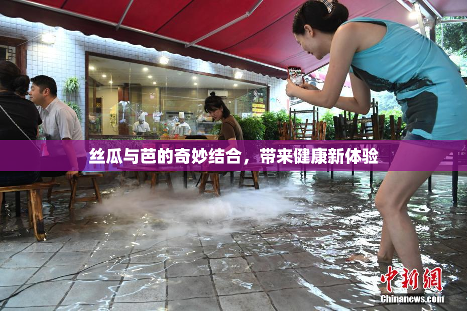 丝瓜与芭的奇妙结合，带来健康新体验