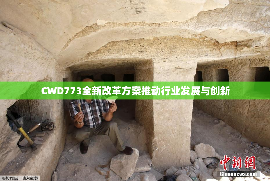 CWD773全新改革方案推动行业发展与创新