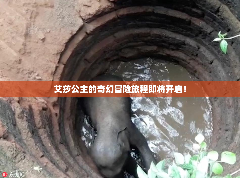 艾莎公主的奇幻冒险旅程即将开启！