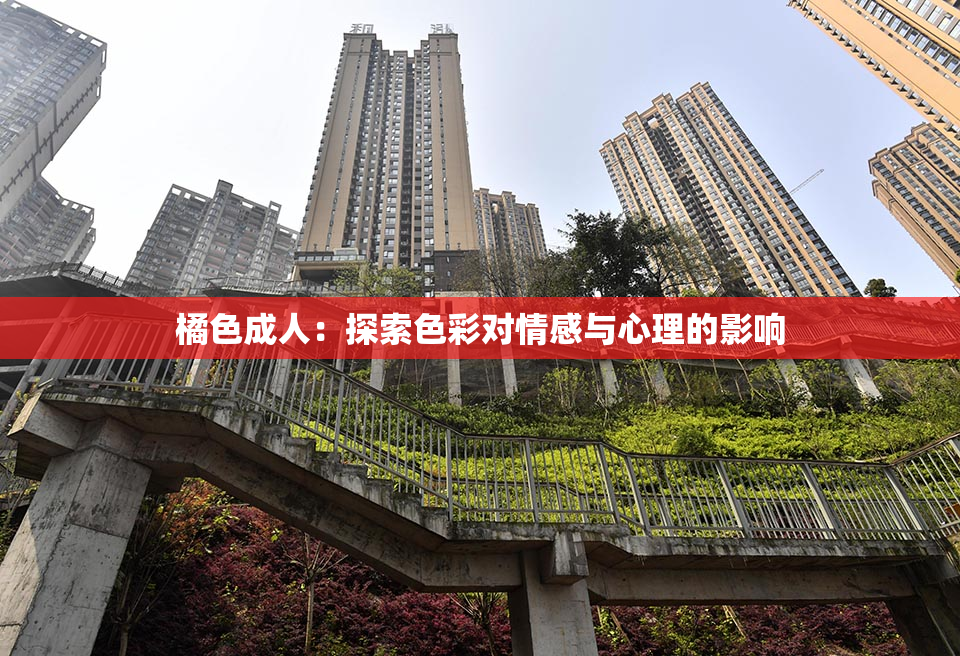 橘色成人：探索色彩对情感与心理的影响