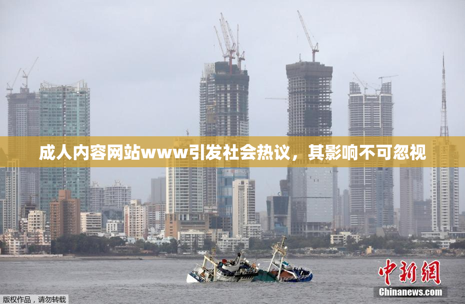 成人内容网站www引发社会热议，其影响不可忽视