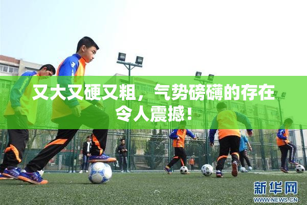 又大又硬又粗，气势磅礴的存在令人震撼！