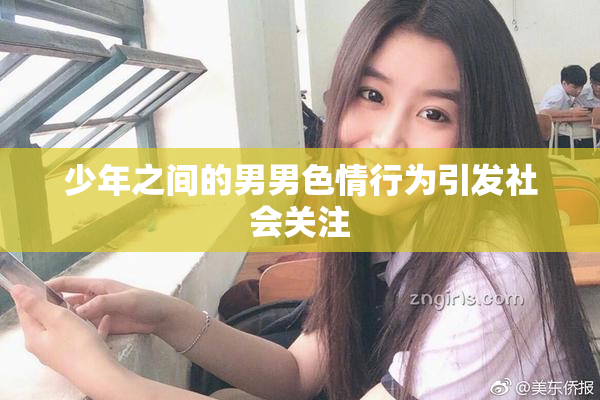 少年之间的男男色情行为引发社会关注