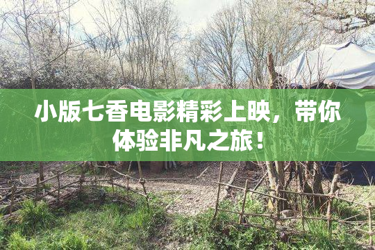 小版七香电影精彩上映，带你体验非凡之旅！