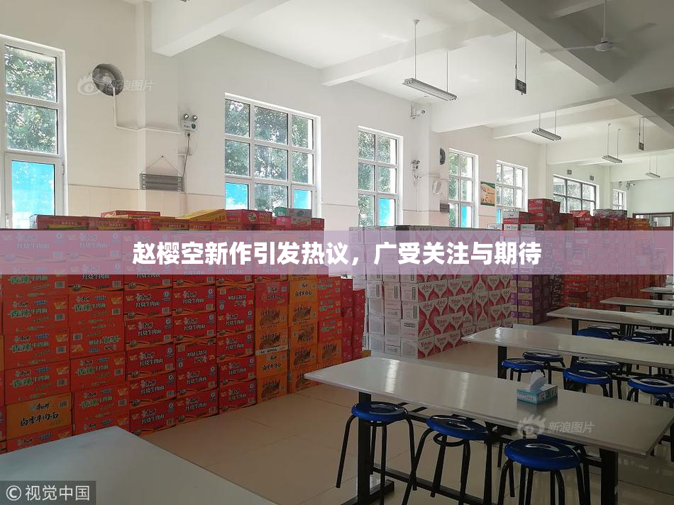 赵樱空新作引发热议，广受关注与期待