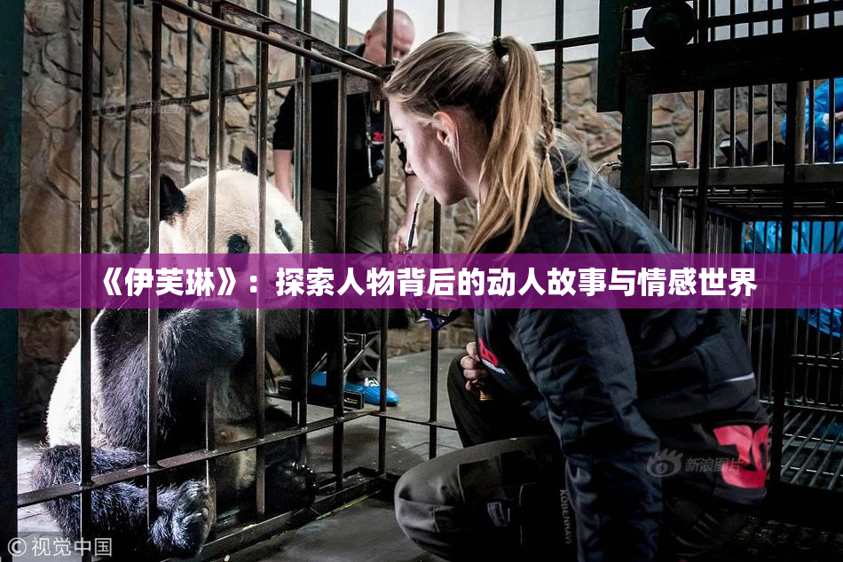 《伊芙琳》：探索人物背后的动人故事与情感世界