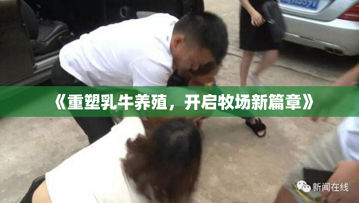 《重塑乳牛养殖，开启牧场新篇章》
