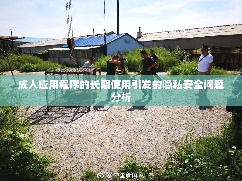 成人应用程序的长期使用引发的隐私安全问题分析