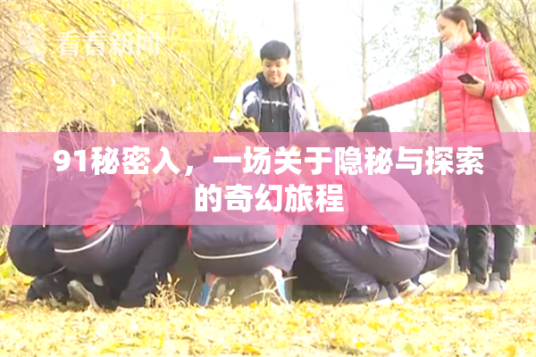 91秘密入，一场关于隐秘与探索的奇幻旅程