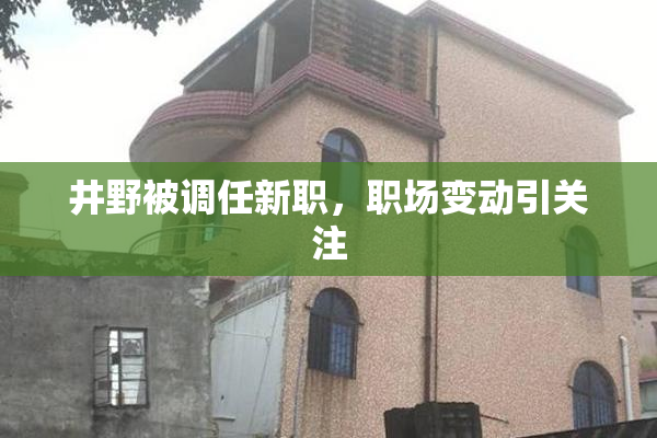 井野被调任新职，职场变动引关注