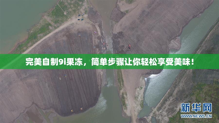 完美自制9i果冻，简单步骤让你轻松享受美味！