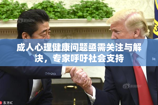 成人心理健康问题亟需关注与解决，专家呼吁社会支持