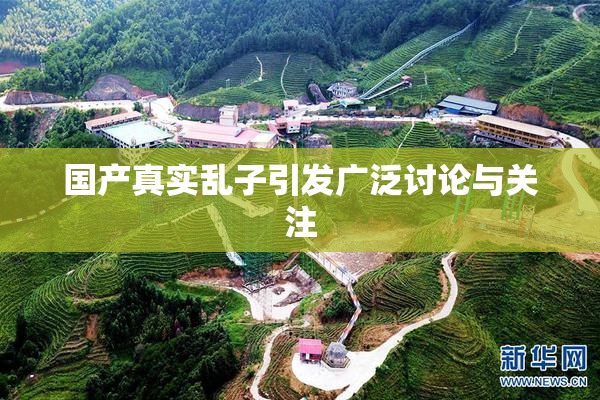 国产真实乱子引发广泛讨论与关注