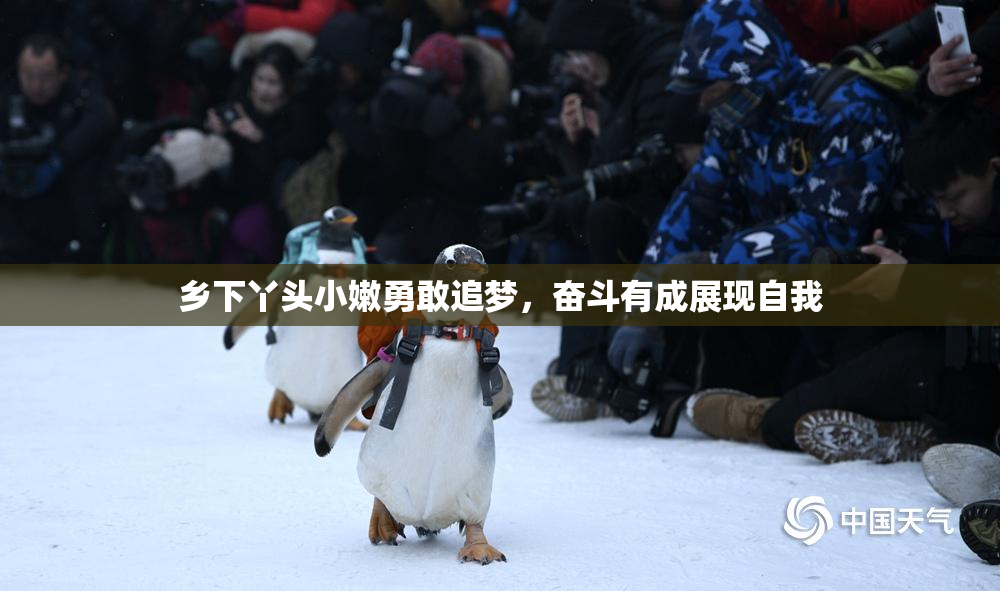 乡下丫头小嫩勇敢追梦，奋斗有成展现自我