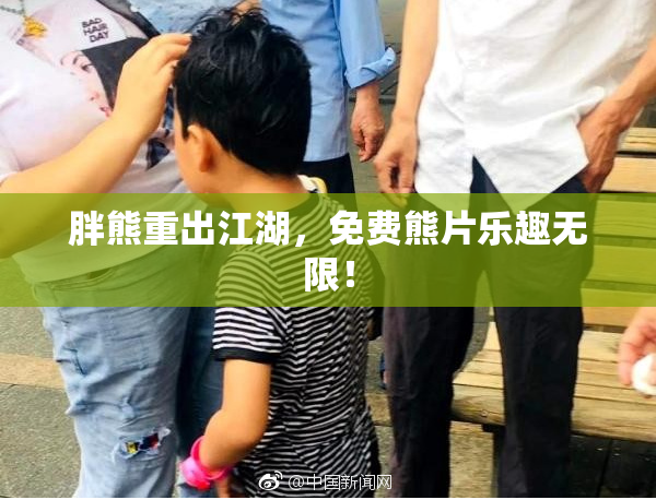胖熊重出江湖，免费熊片乐趣无限！