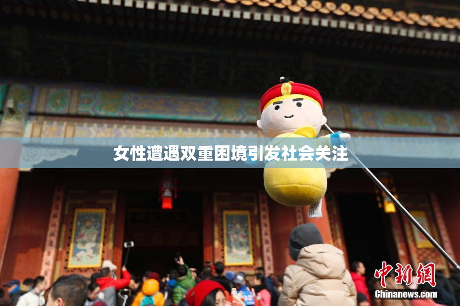 女性遭遇双重困境引发社会关注