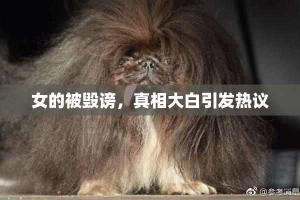 女的被毁谤，真相大白引发热议