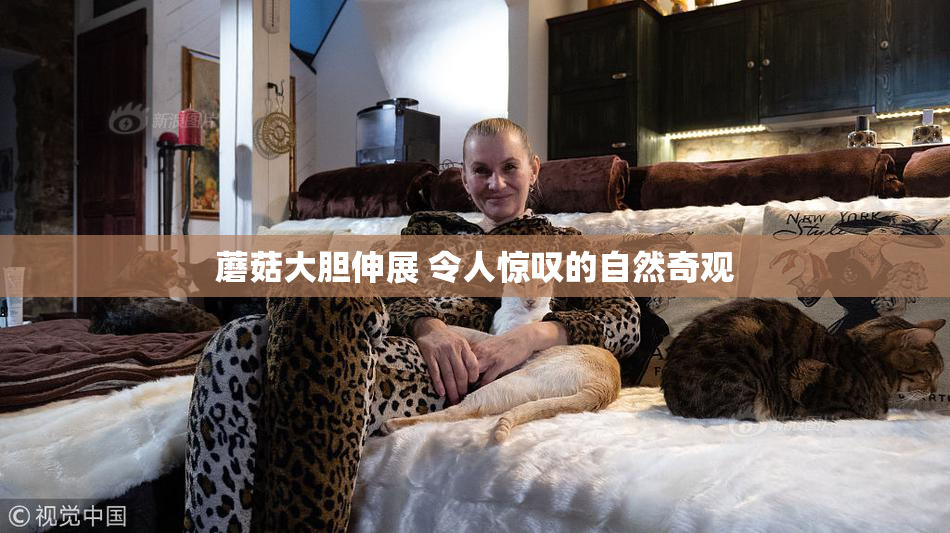 蘑菇大胆伸展 令人惊叹的自然奇观