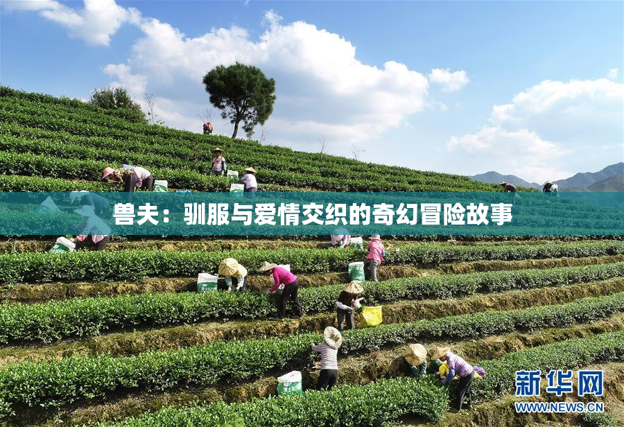 兽夫：驯服与爱情交织的奇幻冒险故事