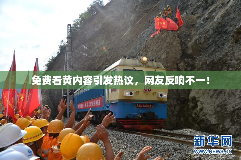 免费看黄内容引发热议，网友反响不一！