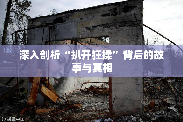深入剖析“扒开狂揉”背后的故事与真相