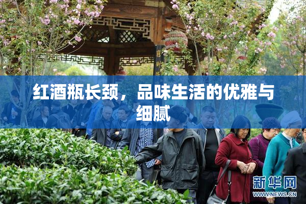红酒瓶长颈，品味生活的优雅与细腻