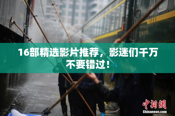 16部精选影片推荐，影迷们千万不要错过！