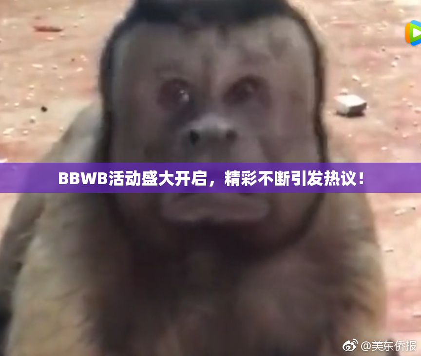 BBWB活动盛大开启，精彩不断引发热议！