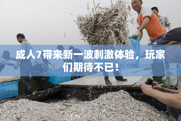 成人7带来新一波刺激体验，玩家们期待不已！